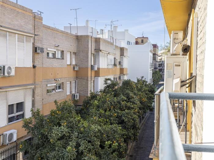 Pureza Dreams De Sevilla Oasis En Triana Sevilha Exterior foto